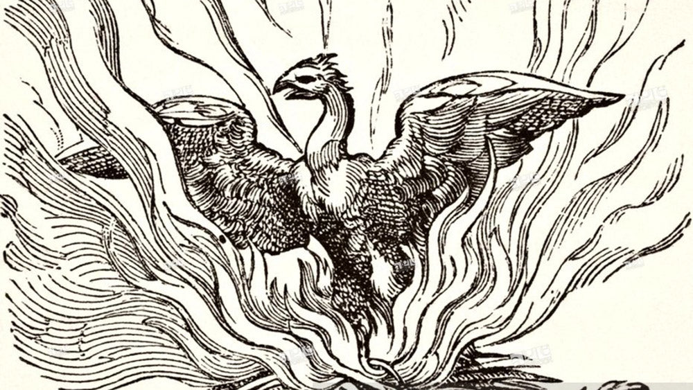 10 Quotes by Freemasons for 2017