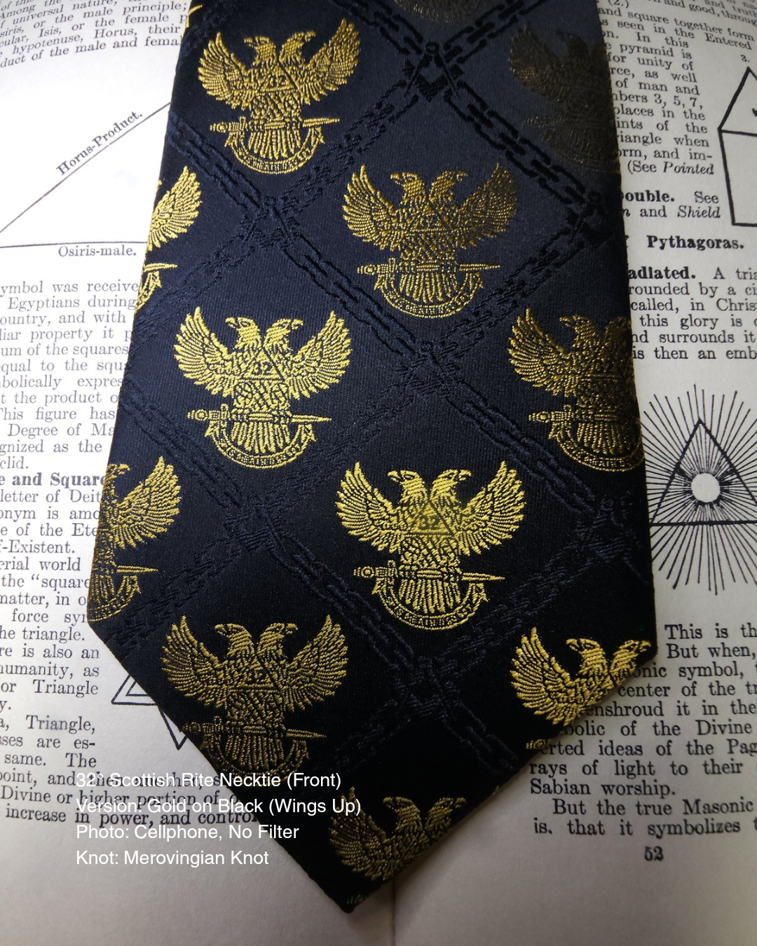 32° Scottish Rite Necktie, Gold on Black, Wings Up